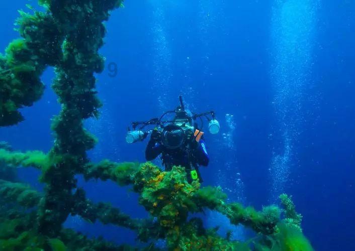 遭遇民宿预订现涨价后毁约怎么办?-知识星球,分享与交流你所热爱的领域